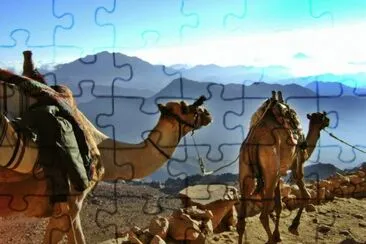 Descent from Sinai jigsaw puzzle