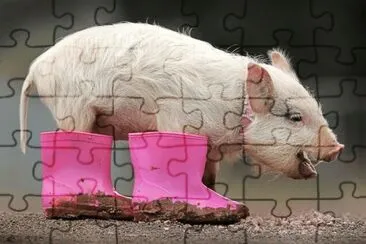 cerdito