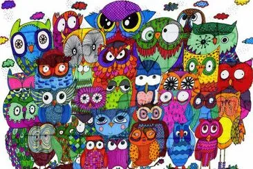 Owls