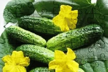 Pepino jigsaw puzzle