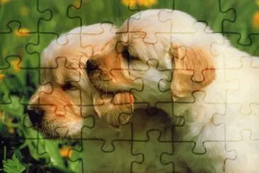 gossets jigsaw puzzle