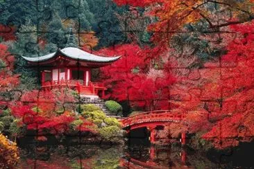 jardin japonais jigsaw puzzle