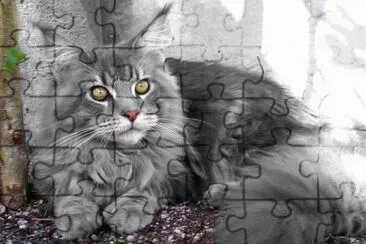 chat jigsaw puzzle