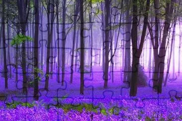 foret violette jigsaw puzzle