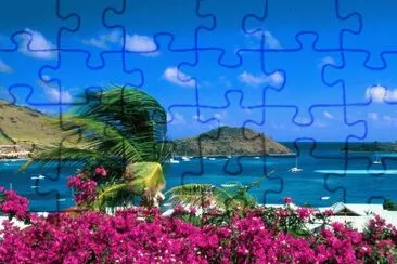 Colorful Coastline jigsaw puzzle