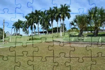 Palmeiras jigsaw puzzle