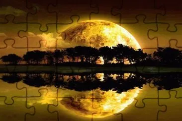 lune jigsaw puzzle