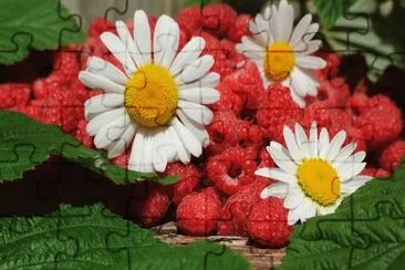 Flowers and Fruit jigsaw puzzle