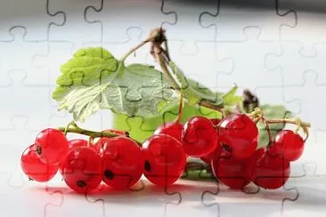 Berries jigsaw puzzle