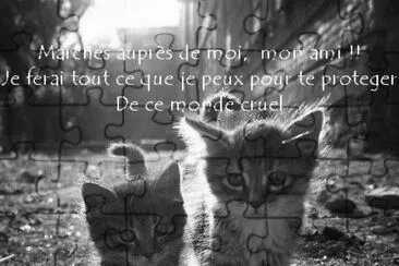 chatons