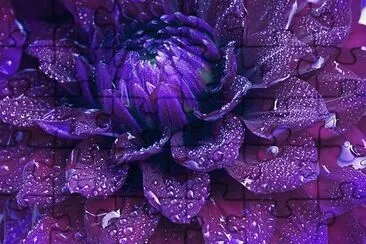 Deep Purple Flower-Art