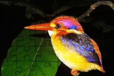 colorful kingfisher-40 jigsaw puzzle