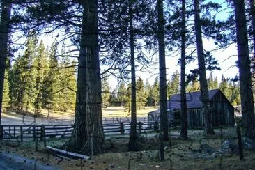 Cabin in woods CA