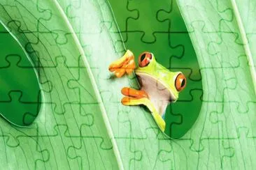 animal raro jigsaw puzzle