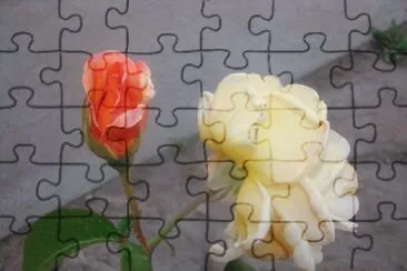 mis rosas jigsaw puzzle