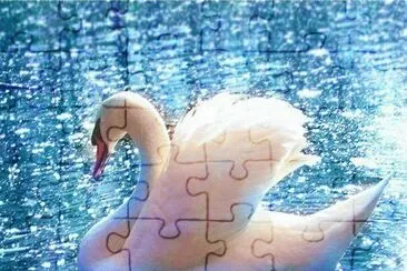 el cisne blanco jigsaw puzzle