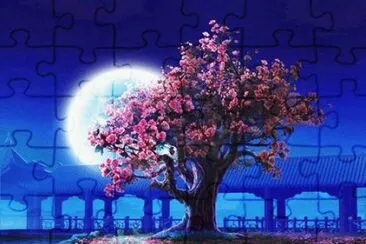 noche de luna jigsaw puzzle