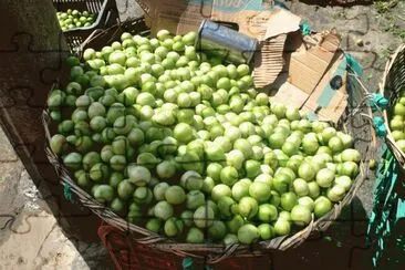 Feira - UmbÃº