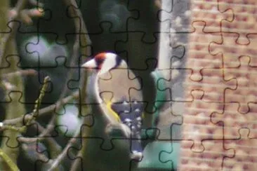 Goldfinch jigsaw puzzle