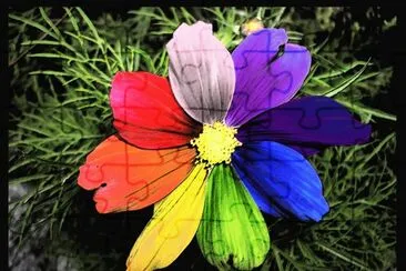 Rainbow Flower jigsaw puzzle