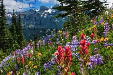 פאזל של Mount Rainier National Park