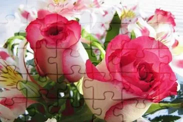 Rosas rosas jigsaw puzzle