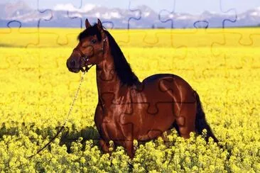 פאזל של caballo entre flores