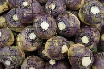 rutabaga