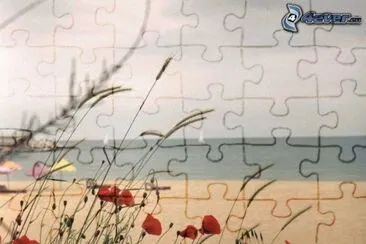 plage jigsaw puzzle