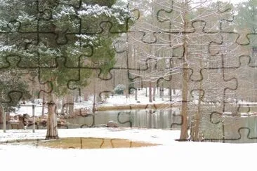 Lake With Snow jigsaw puzzle