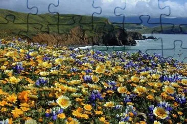 Flores e Agua jigsaw puzzle