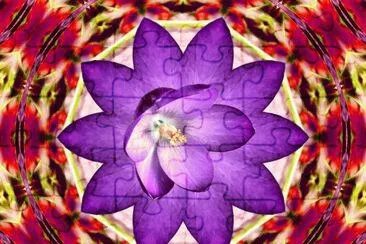 Crocus Flower jigsaw puzzle