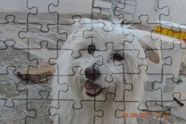 Bianca jigsaw puzzle