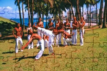 Capoeira jigsaw puzzle