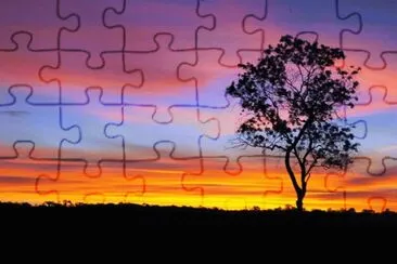 Cerrado - Bahia jigsaw puzzle