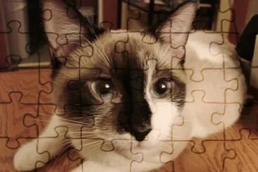 Blue Eyes jigsaw puzzle