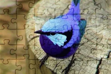 bird jigsaw puzzle