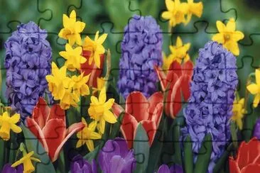 Spring Flowers jigsaw puzzle