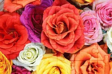 Colorful Bouquet jigsaw puzzle