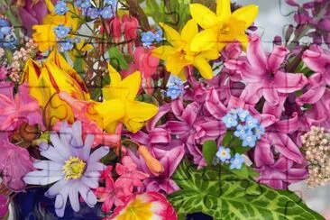 Spring Flowers from the Garden jigsaw puzzle