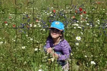 Entre flores