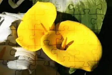 Copo de Leite Amarelo jigsaw puzzle