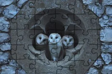 164916_379298088845831_645699460_n jigsaw puzzle