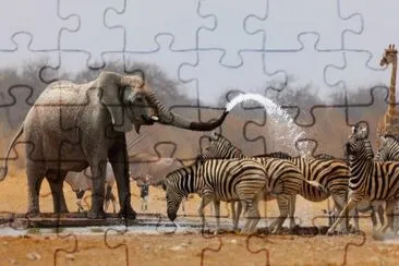 251122_318205978288376_1273751782_n jigsaw puzzle