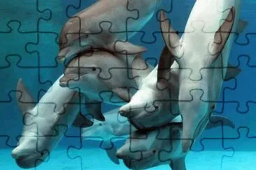 556766_318204628288511_771250921_n jigsaw puzzle