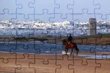 conil,cadiz jigsaw puzzle