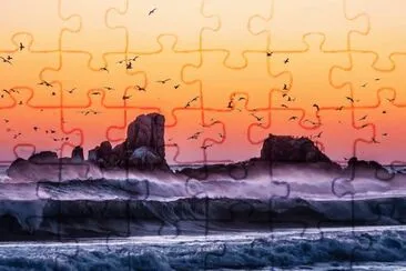 Aves Marinhas jigsaw puzzle