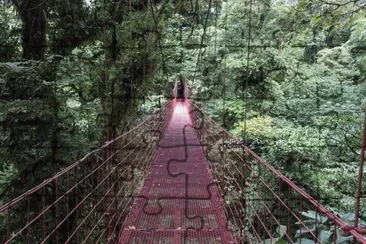 Monteverde Cloud Forest, Costa Rica