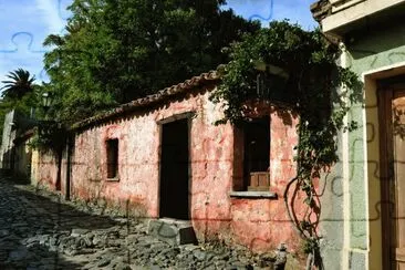 CASA ROSA