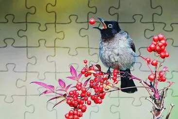 PÃJARO COMIENDO jigsaw puzzle